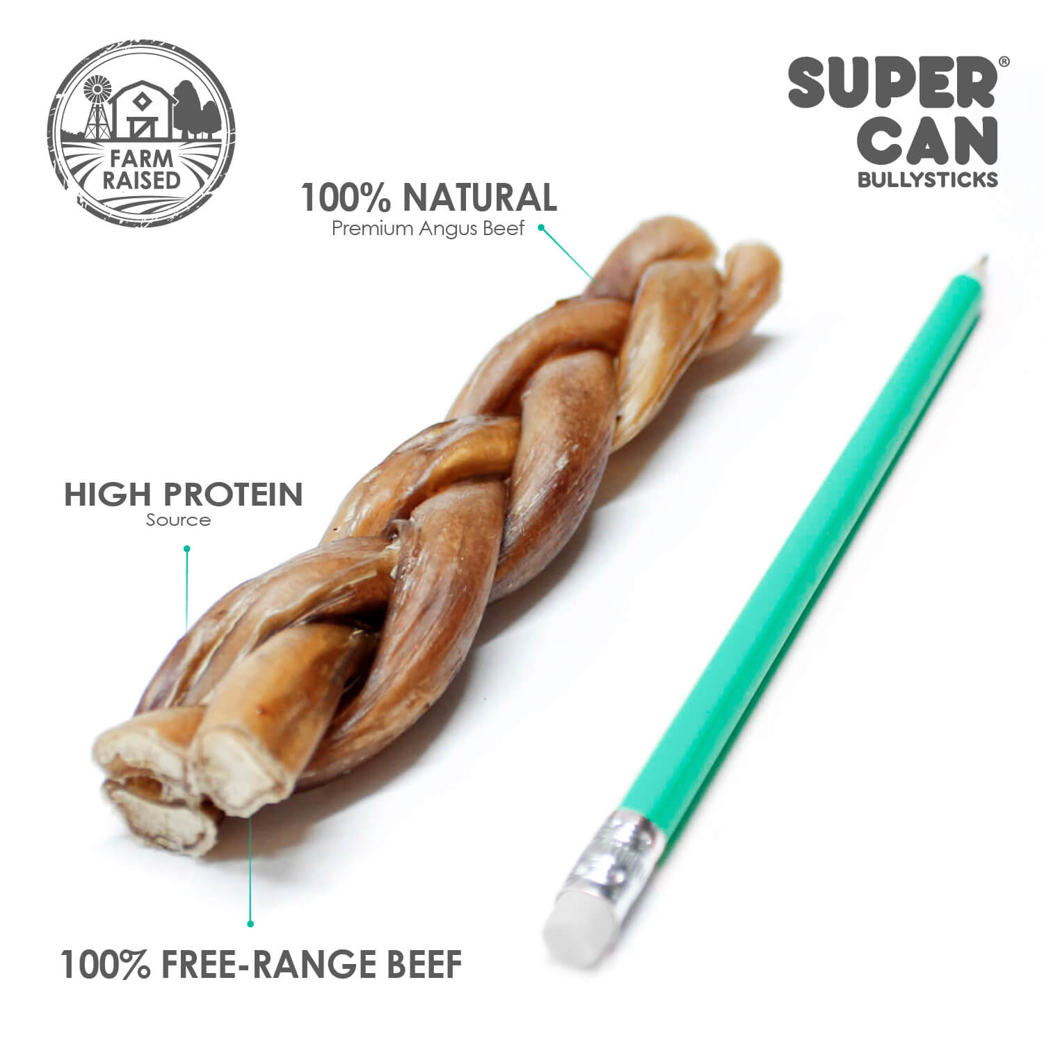 6" Braided Bully Sticks (10-Pack)