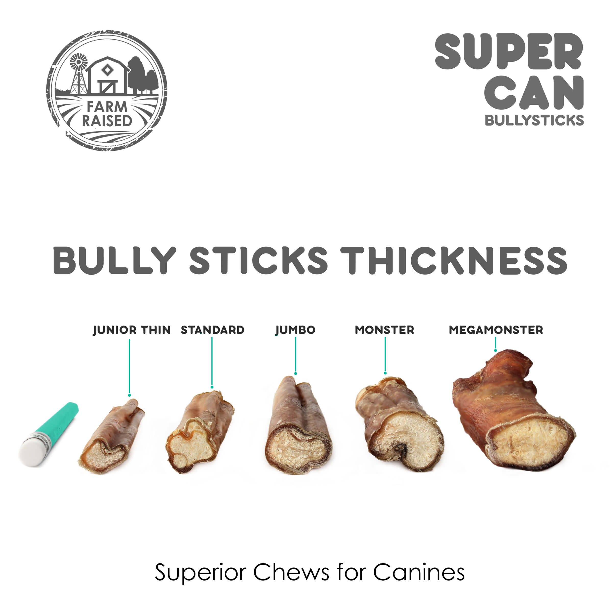 6" Jumbo Bully Sticks (10-Pack)