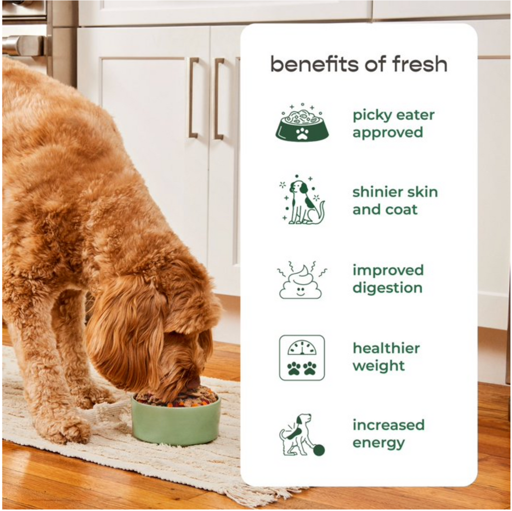 Dog Joy Chicken Treats, 6.4 Oz