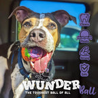 WUNDERBALL - Best Fetch Toy