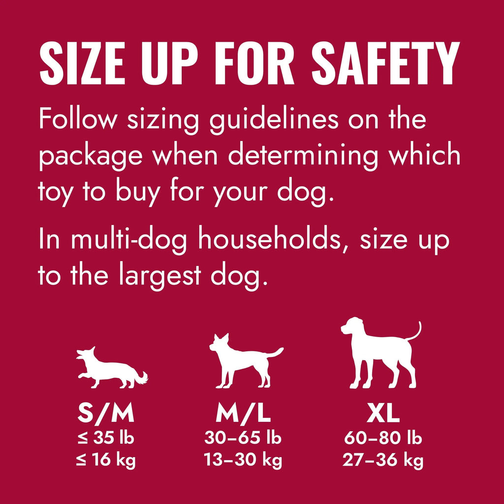 ® Ring Dog Toy, Medium/Large